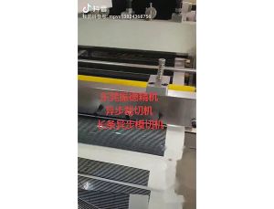 600 asynchronous die cutting machine